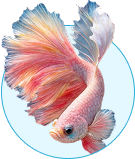 Aquatic organisms