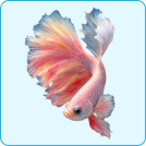 Aquatic organisms