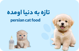 براش چی بخرم؟