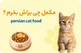 براش چی بخرم؟