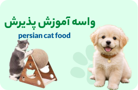 براش چی بخرم؟